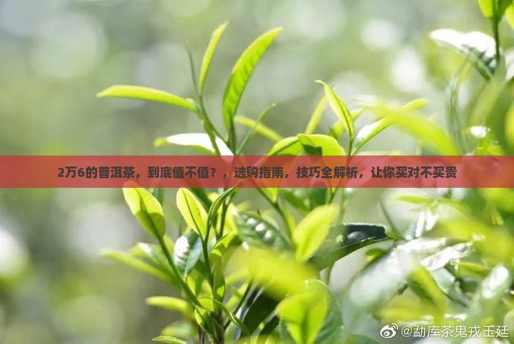 2万6的普洱茶