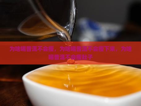 为啥喝普洱不会瘦