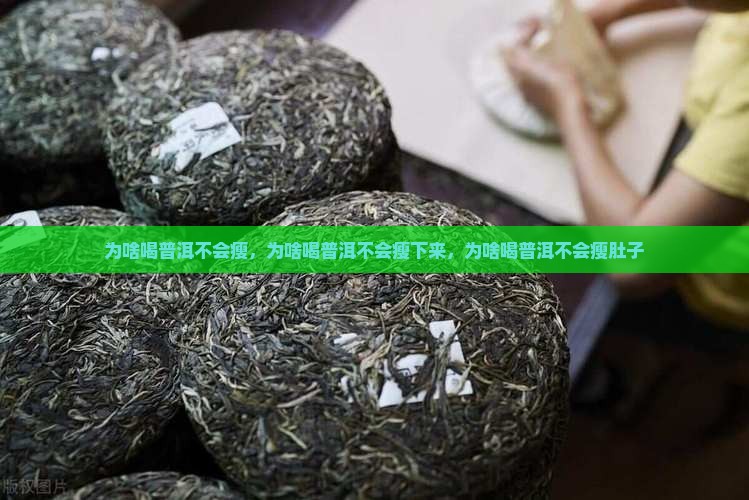为啥喝普洱不会瘦