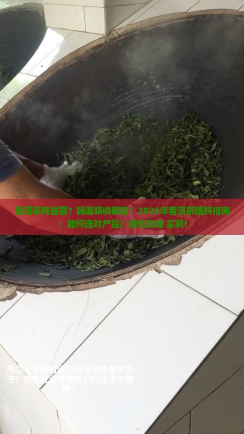 普洱茶有益菌肠道吸购买