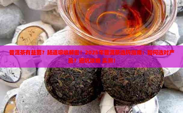 普洱茶有益菌肠道吸购买