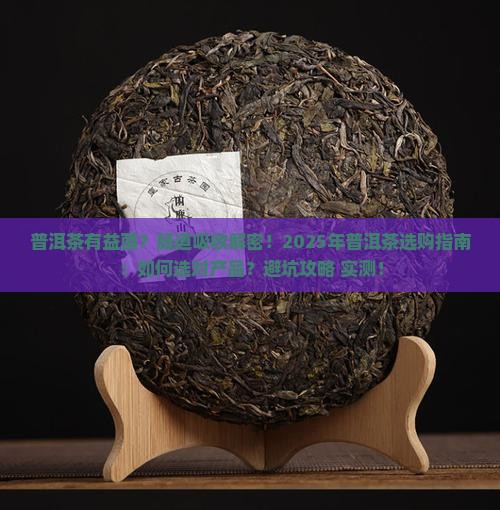 普洱茶有益菌肠道吸购买