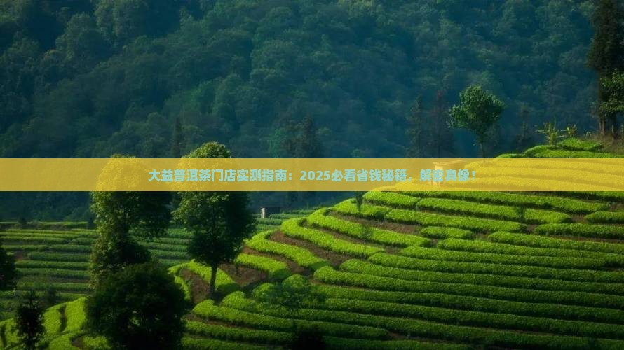 大益普洱茶门店