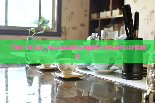 云南洪普号茶怎么样