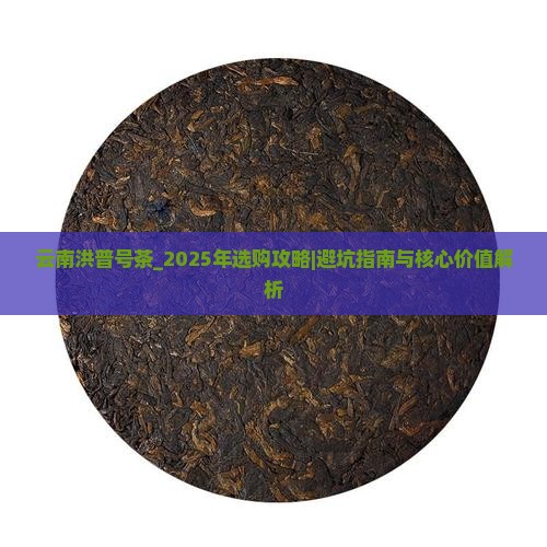 云南洪普号茶怎么样