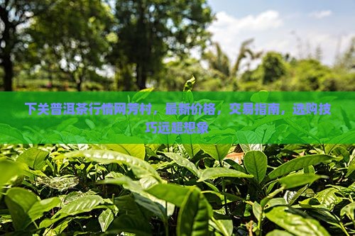 下关普洱茶行情网芳村
