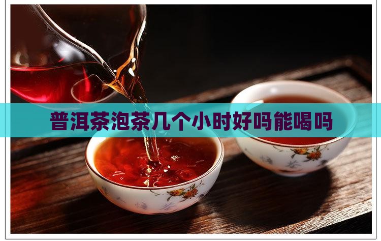 普洱茶泡茶几个小时好吗