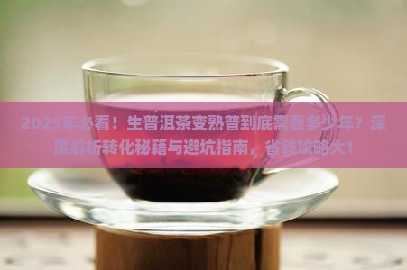 生普洱茶多少年能变熟普
