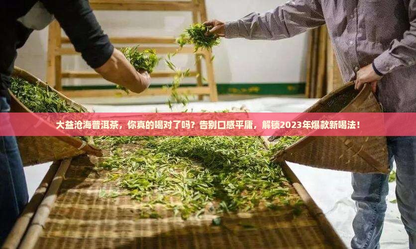 大益沦海普洱茶 大益沦海普洱茶