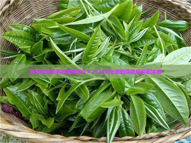 袋泡普洱茶有保质期多久