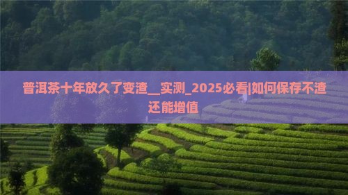 普洱茶十年放久了变渣