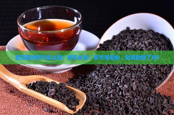 普洱茶的茶气怎么看