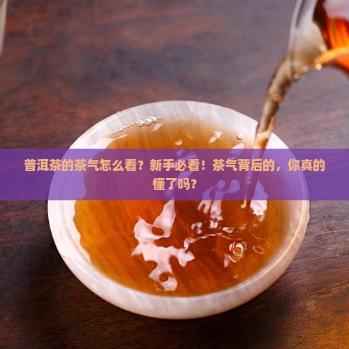 普洱茶的茶气怎么看