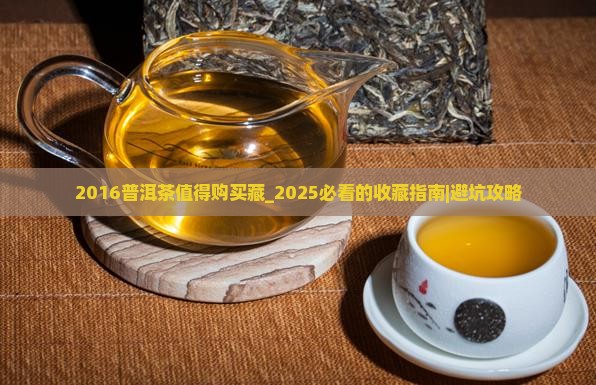 2016普洱茶值得购买藏