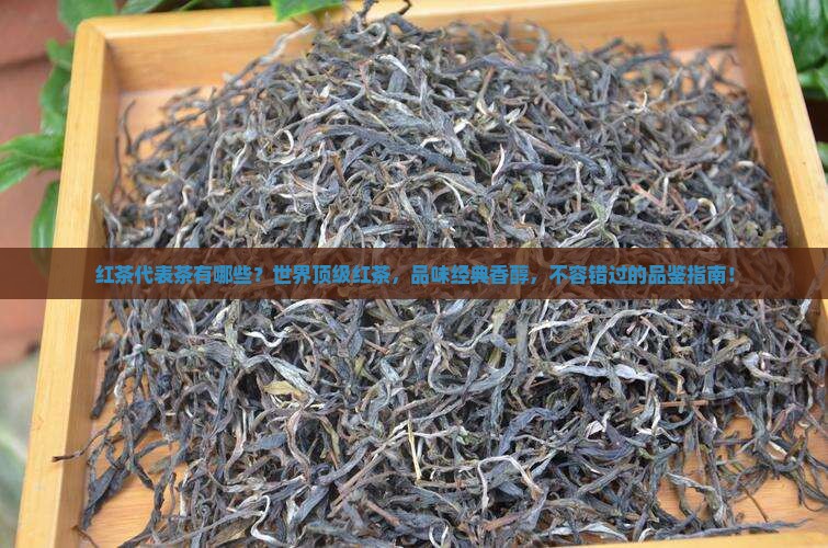 红茶代表茶有哪些