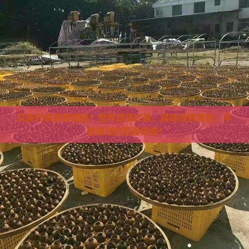 红茶代表茶有哪些