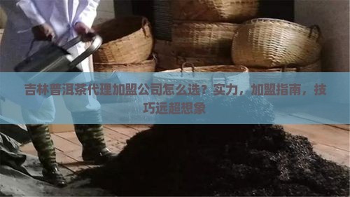 吉林普洱茶代理加盟公司