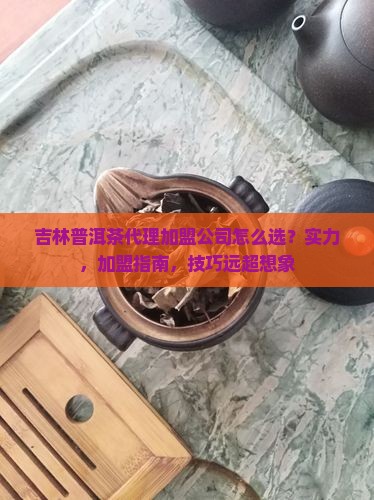 吉林普洱茶代理加盟公司