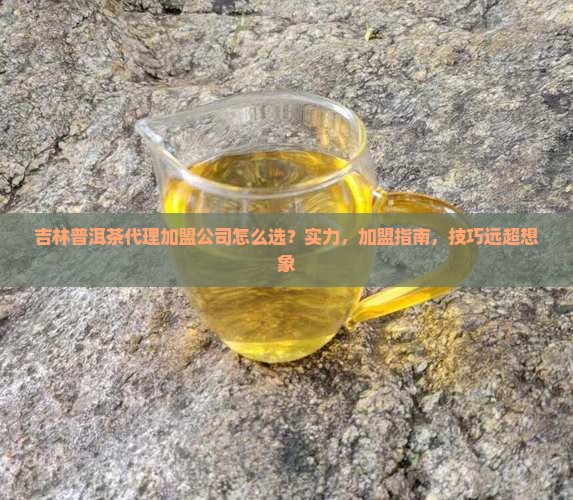 吉林普洱茶代理加盟公司