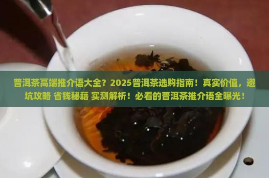 普洱茶高端推介语大全