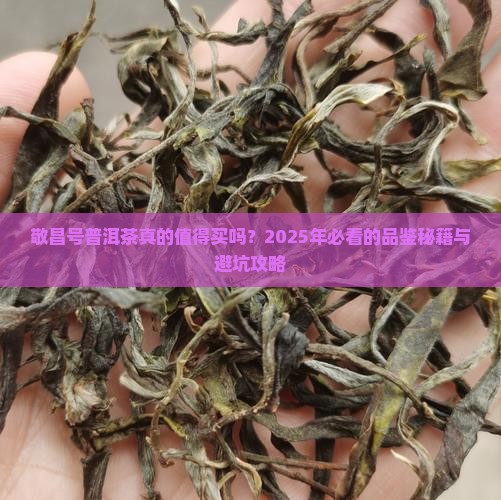 敬昌号普洱茶特点