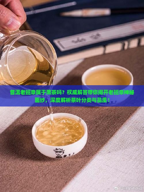 普洱老班章属于黑茶吗