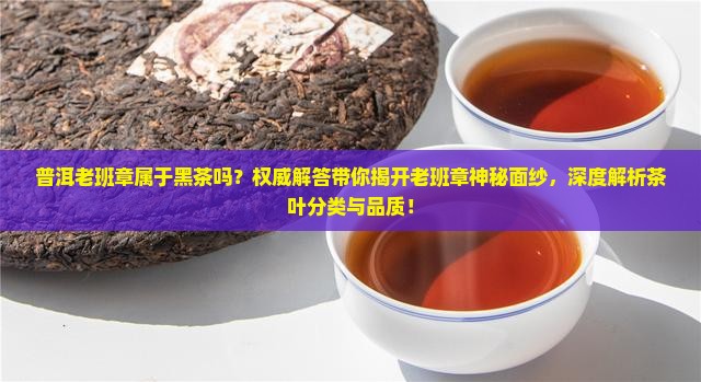 普洱老班章属于黑茶吗