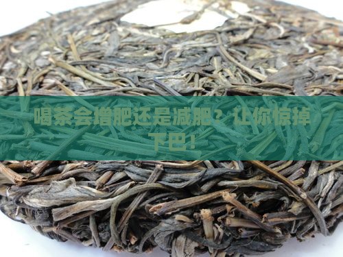 喝茶会增肥还是减肥