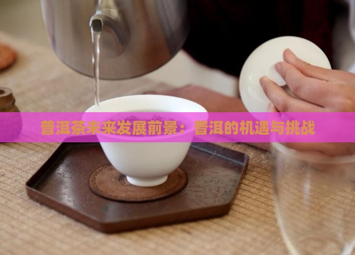 云集普洱茶未来前景