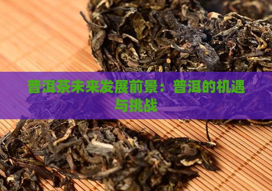 云集普洱茶未来前景