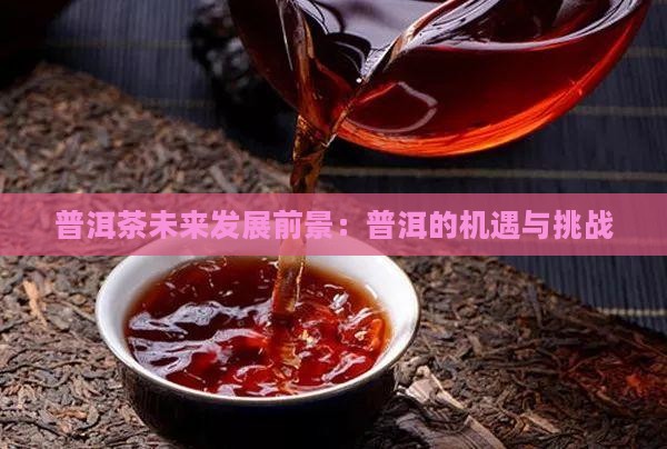 云集普洱茶未来前景