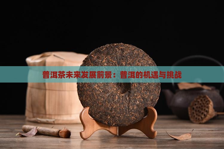 云集普洱茶未来前景