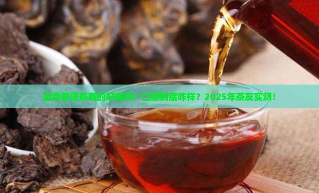 金条普洱茶口感怎么样