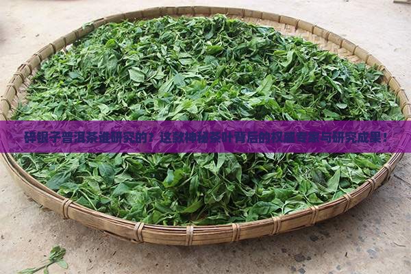 碎银子普洱茶谁研究的