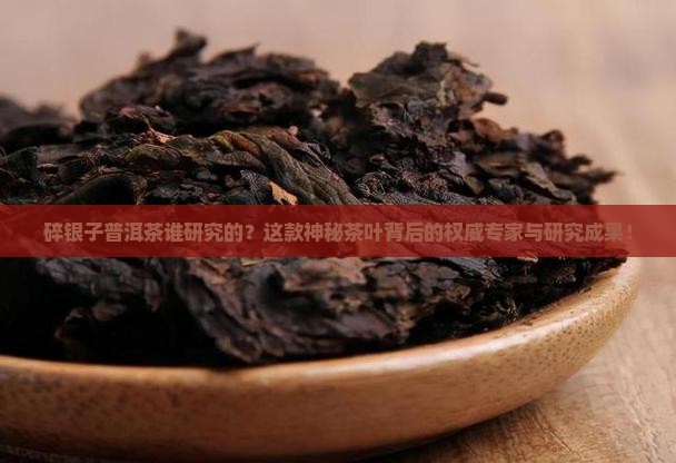 碎银子普洱茶谁研究的