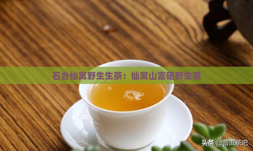 仙寓山富硒野生茶