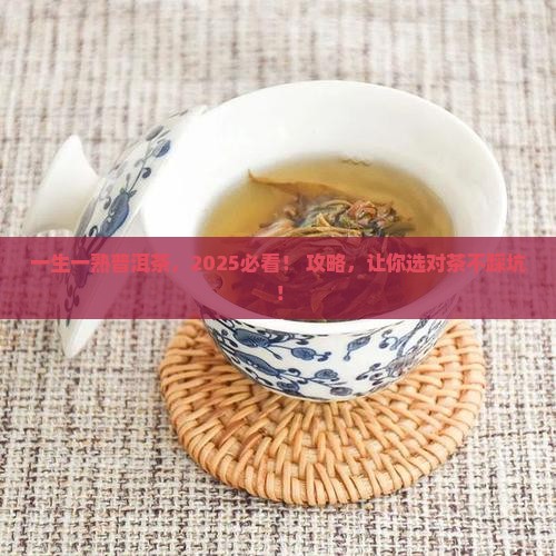 一生一熟普洱茶官网