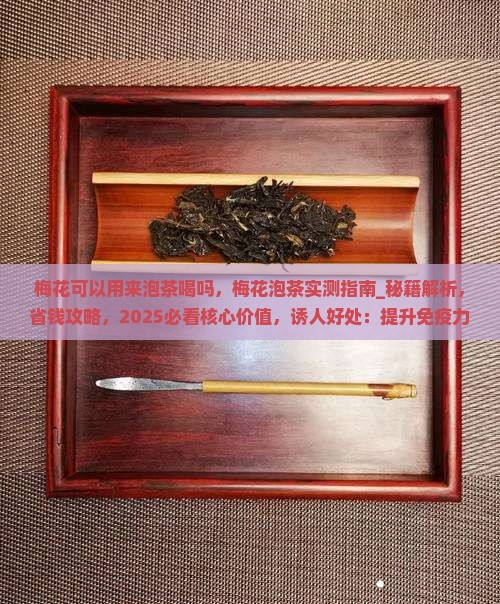 梅花可以用来泡茶喝吗
