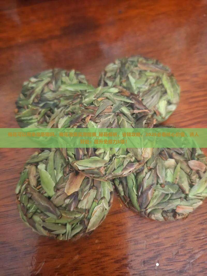 梅花可以用来泡茶喝吗