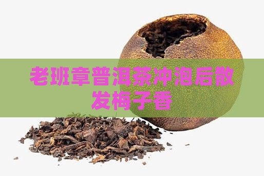 老班章冲泡后有梅子味