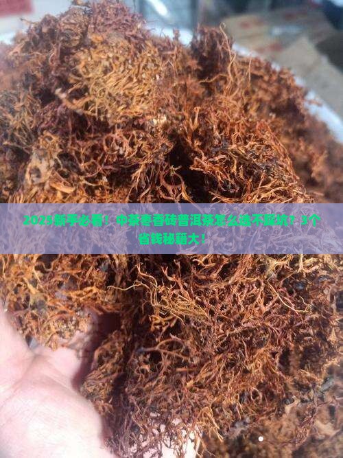 中茶枣香砖普洱茶