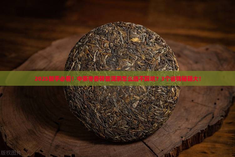 中茶枣香砖普洱茶
