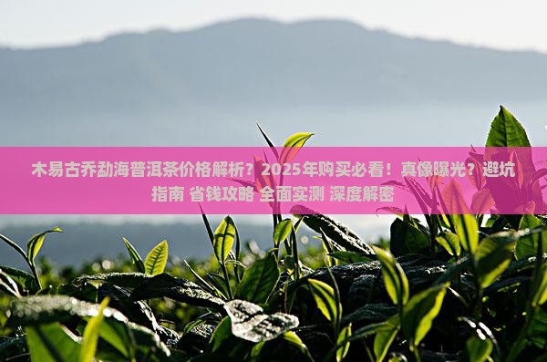 木易古乔勐海普洱茶价格