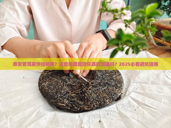 泰安普洱茶饼经销商