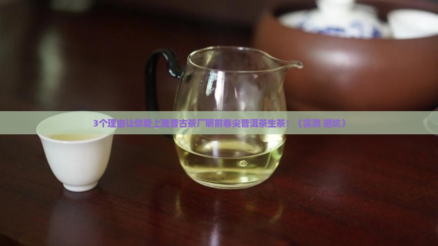 雅普古茶厂明前春尖普洱茶生茶
