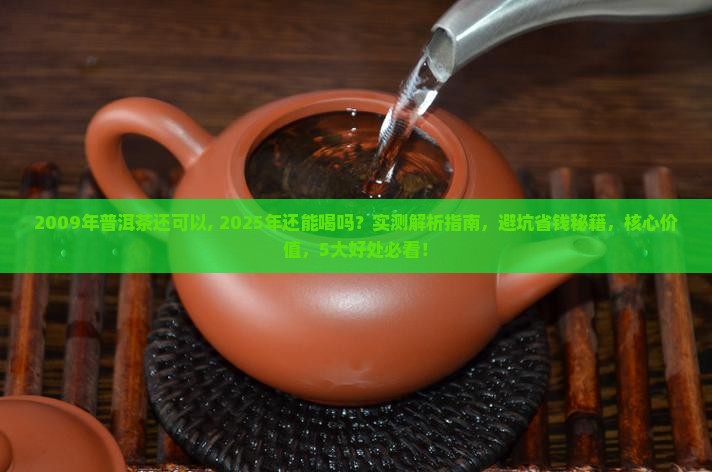 2009年普洱茶还可以