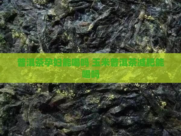 玉米普洱茶减肥能喝吗孕妇