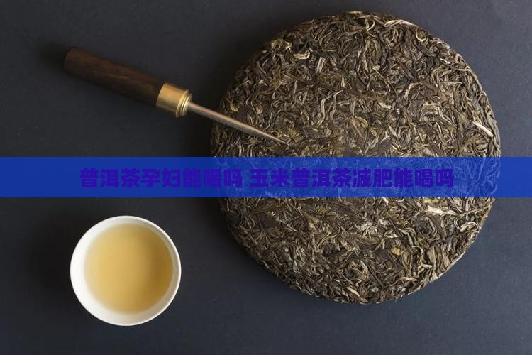 玉米普洱茶减肥能喝吗孕妇