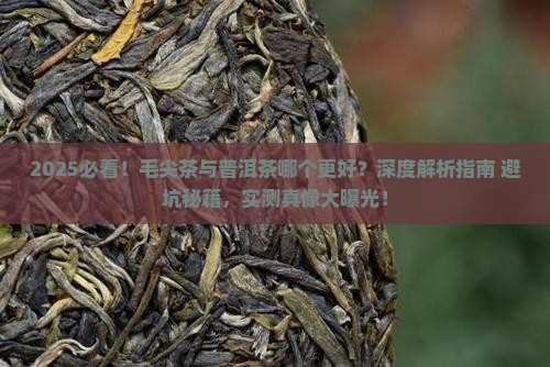 毛尖茶喝普洱茶哪个好