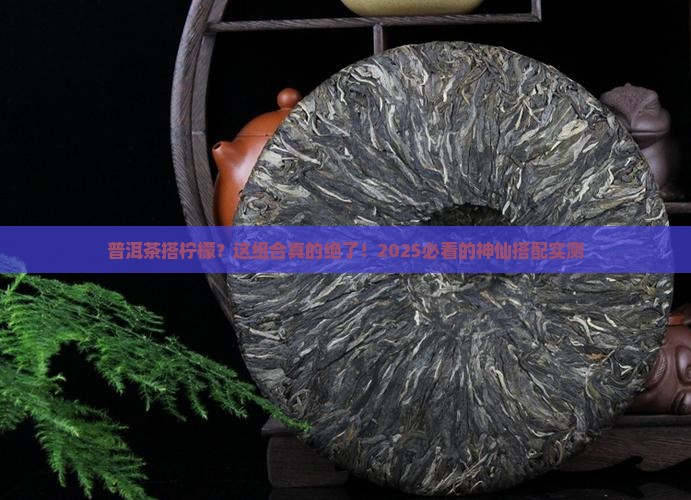 普洱茶和柠檬干茶